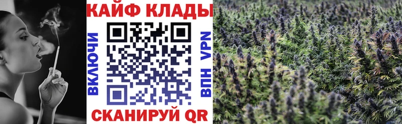  Кокаин Сальск