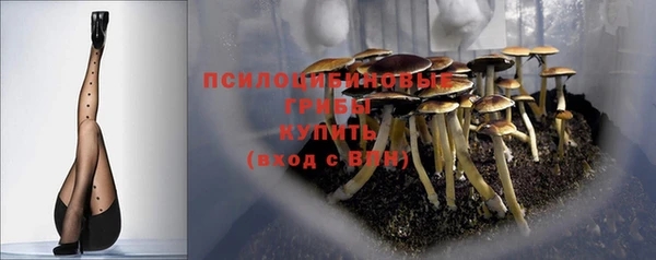 альфа пвп Нязепетровск