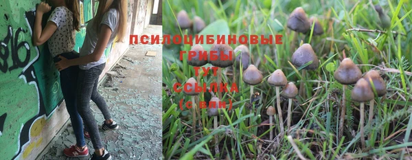 мяу мяу мука Абинск