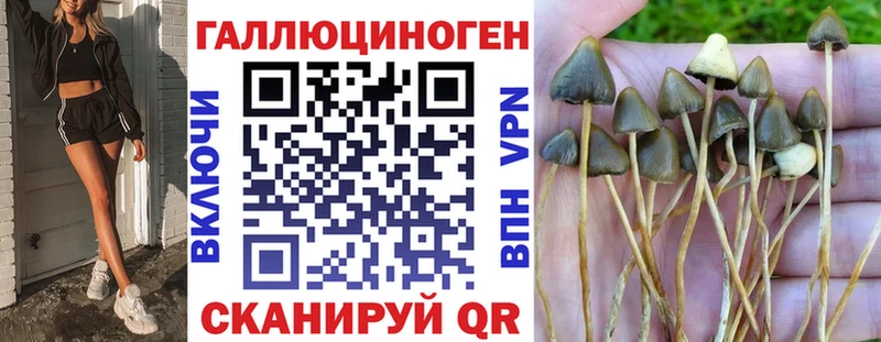 МЕГА ссылка  наркота  Сальск  Галлюциногенные грибы Psilocybine cubensis 