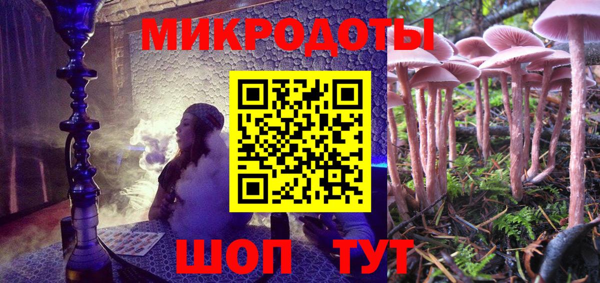 Псилоцибиновые грибы GOLDEN TEACHER Сальск