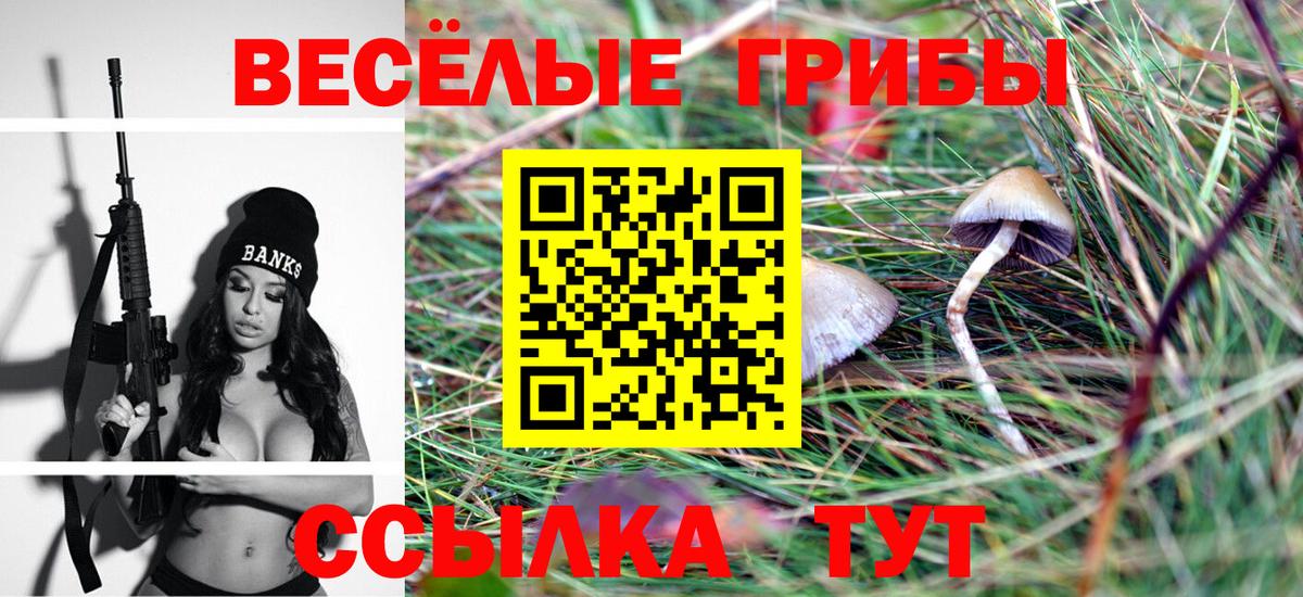 Псилоцибиновые грибы мицелий  купить наркотик  Сальск  Вход с VPN 