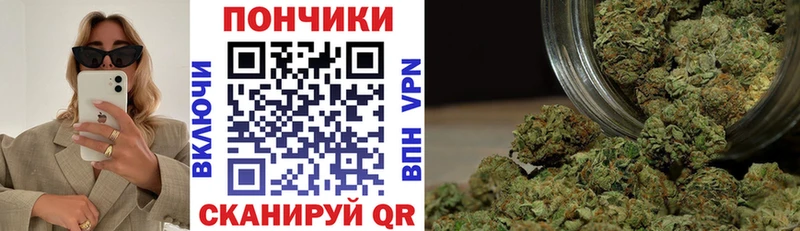 Канабис семена  наркотики  Сальск 